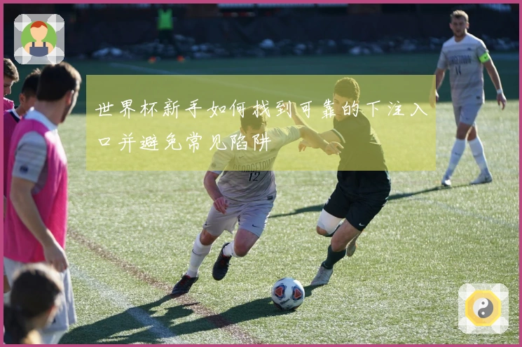 世界杯新手如何找到可靠的下注入口并避免常见陷阱