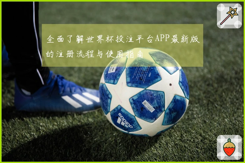 全面了解世界杯投注平台APP最新版的注册流程与使用指南
