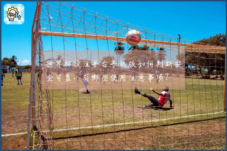 世界杯投注平台手机版如何判断安全可靠，有哪些使用注意事项？