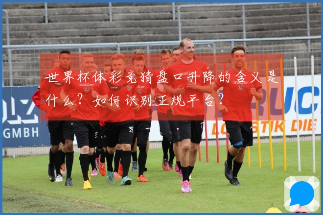世界杯体彩竞猜盘口升降的含义是什么？如何识别正规平台？