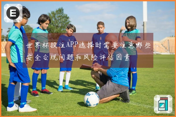 世界杯投注APP选择时需要注意哪些安全合规问题和风险评估因素