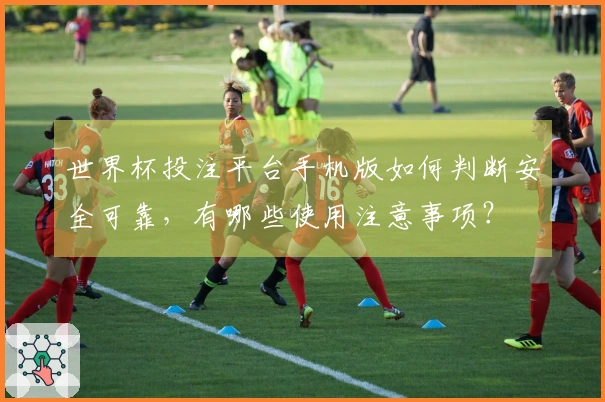 世界杯投注平台手机版如何判断安全可靠，有哪些使用注意事项？