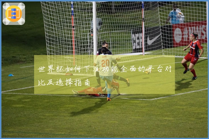 世界杯如何下注功能全面的平台对比及选择指南