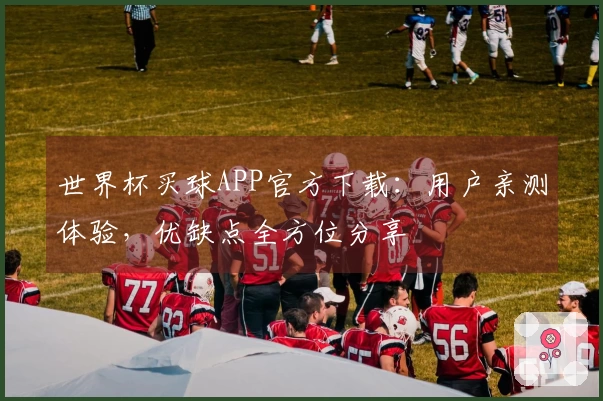 世界杯买球APP官方下载:用户亲测体验,优缺点全方位分享