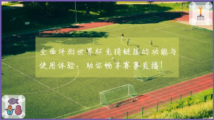 全面评测世界杯竞猜链接的功能与使用体验，助你畅享赛事直播！