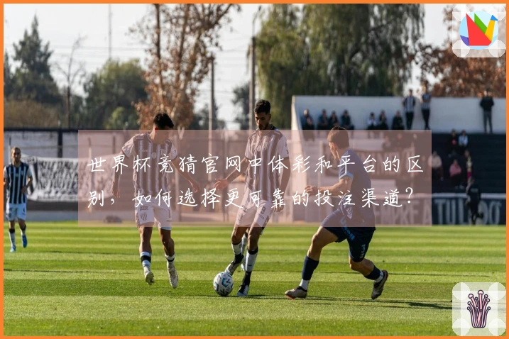 世界杯竞猜官网中体彩和平台的区别，如何选择更可靠的投注渠道？