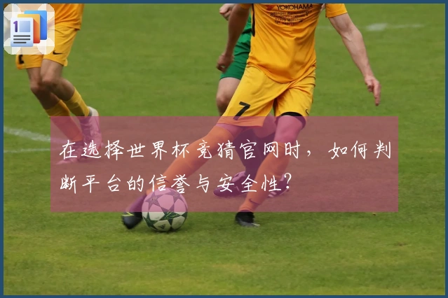 在选择世界杯竞猜官网时，如何判断平台的信誉与安全性？