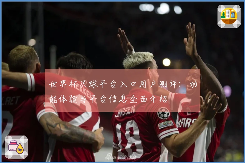 世界杯买球平台入口用户测评：功能体验与平台信息全面介绍