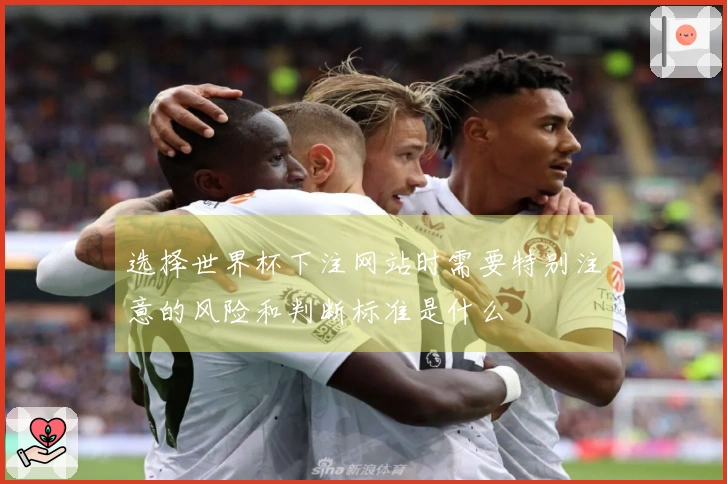 选择世界杯下注网站时需要特别注意的风险和判断标准是什么